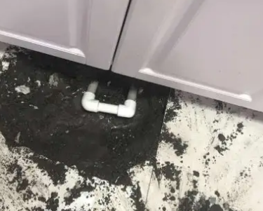巫山查漏水哪家好